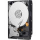Hard drive internal WD 3.5 Hard drive internal WD 3.5