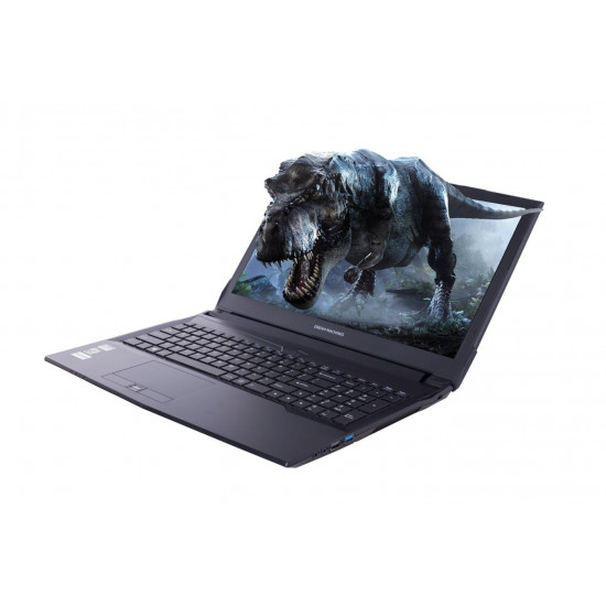 Ноутбук DREAM MACHINES Clevo G1050Ti-15 (G1050TI-15UA29) Ноутбук DREAM MACHINES Clevo G1050Ti-15 (G1050TI-15UA29)