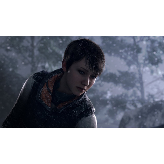 Гра Detroit. Стати людиною (PS4, Російська версія) Гра Detroit. Стати людиною (PS4, Російська версія)