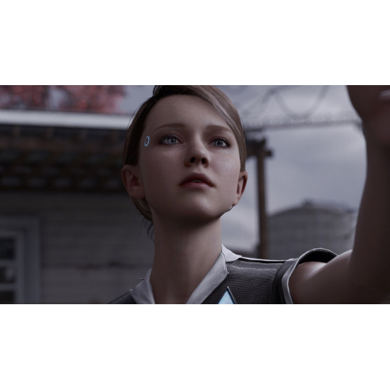 Гра Detroit. Стати людиною (PS4, Російська версія) Гра Detroit. Стати людиною (PS4, Російська версія)