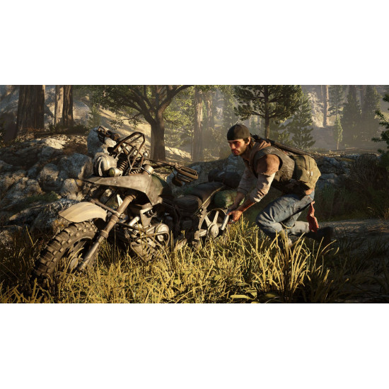 Game Days Gone (PS4, Russian version) Game Days Gone (PS4, Russian version)