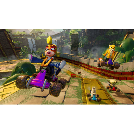 Game Crash Team Racing (PS4, English) Game Crash Team Racing (PS4, English)