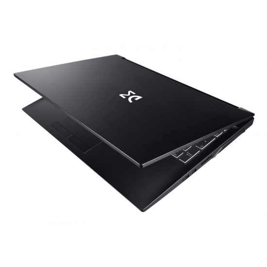 Ноутбук DREAM MACHINES RG2060-15 (RG2060-15UA26) Ноутбук DREAM MACHINES RG2060-15 (RG2060-15UA26)