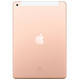 Планшет Apple iPad 10.2 Планшет Apple iPad 10.2