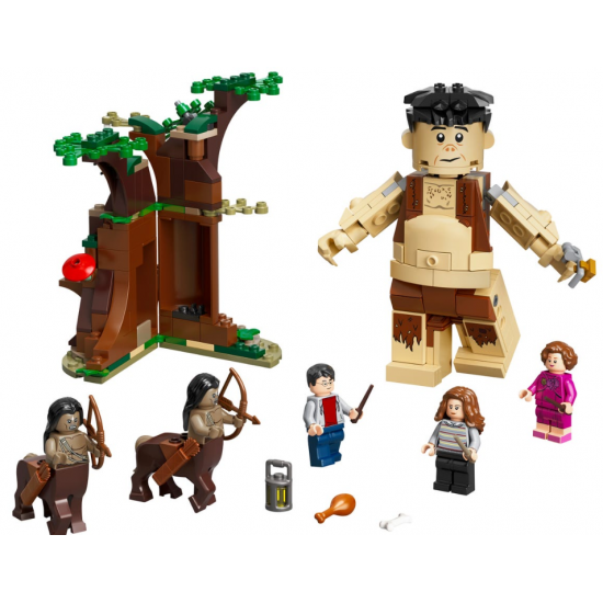 Designer of LEGO Harry Potter Forbidden wood: Meeting Umbridge (75967) Designer of LEGO Harry Potter Forbidden wood: Meeting Umbridge (75967)