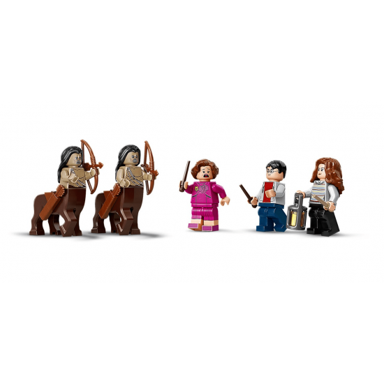 Designer of LEGO Harry Potter Forbidden wood: Meeting Umbridge (75967) Designer of LEGO Harry Potter Forbidden wood: Meeting Umbridge (75967)