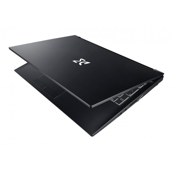 Ноутбук DREAM MACHINES RG2060-15 (RG2060-15UA55) Ноутбук DREAM MACHINES RG2060-15 (RG2060-15UA55)