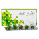 Vektazin suppositories, 10 pieces. Vektazin suppositories, 10 pieces.