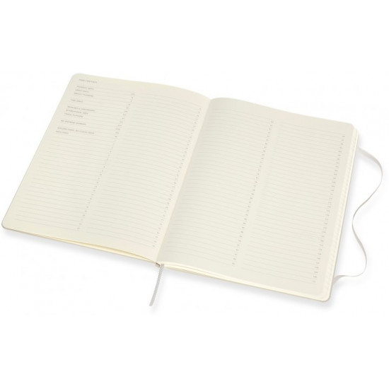  Записная книга Недатированная Moleskine PRO 19 x 25 см 192 страницы Серая (8058647620824)
