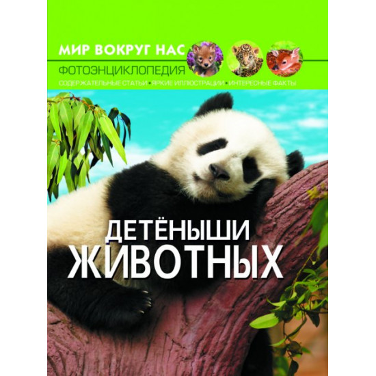 Світ навколо нас. Дитинчата тварин (9789669369482) Світ навколо нас. Дитинчата тварин (9789669369482)