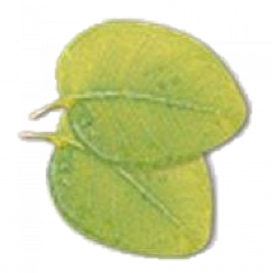 Aroma for sauna Camylle Voile de Sauna Aroma for sauna Camylle Voile de Sauna