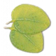 Aroma for sauna Camylle Voile de Sauna Aroma for sauna Camylle Voile de Sauna