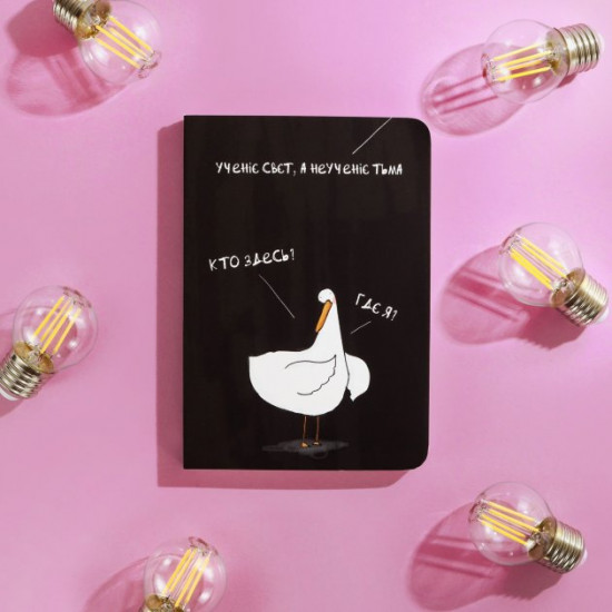 Notepad at the dot with Goose Learning light
