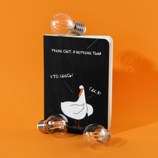 Notepad at the dot with Goose Learning light