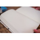 Notepad at the dot with Goose Learning light