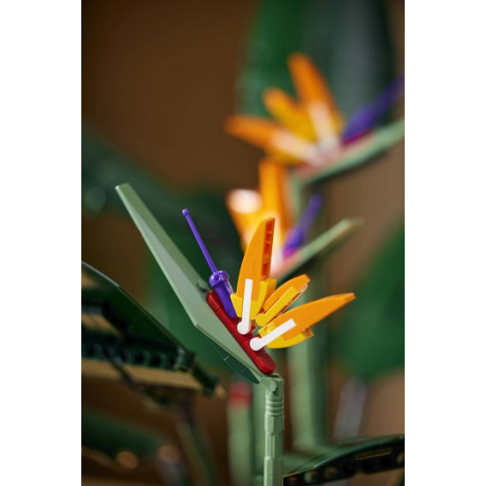 LEGO Creator Expert Bird of Paradise 1173 pieces (10289) LEGO Creator Expert Bird of Paradise 1173 pieces (10289)