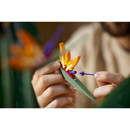LEGO Creator Expert Bird of Paradise 1173 pieces (10289) LEGO Creator Expert Bird of Paradise 1173 pieces (10289)