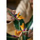 LEGO Creator Expert Bird of Paradise 1173 pieces (10289) LEGO Creator Expert Bird of Paradise 1173 pieces (10289)