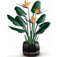 LEGO Creator Expert Bird of Paradise 1173 pieces (10289) LEGO Creator Expert Bird of Paradise 1173 pieces (10289)