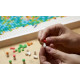 Constructor LEGO Art World map 11695 parts (31203) Constructor LEGO Art World map 11695 parts (31203)