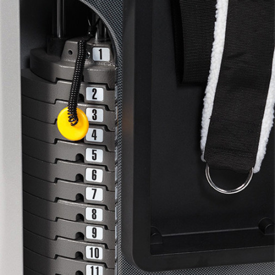 Функциональный комплекс для дома HOIST Mi6 (HT-Mi6-platinum) Функциональный комплекс для дома HOIST Mi6 (HT-Mi6-platinum)