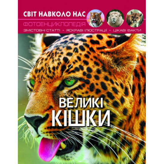 The light is around us. Veliki kishki (9789669369550) The light is around us. Veliki kishki (9789669369550)