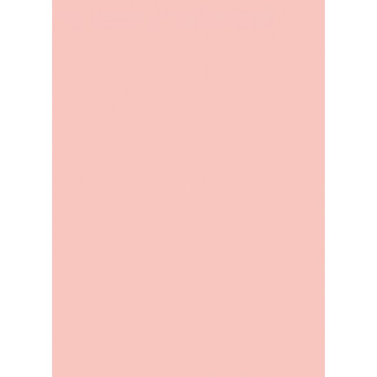 Notepad 4Profi Notepad 4Profi