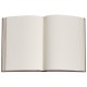 Notebook Paperblanks Nova Stella 21 x 30 cm 240 pages unlined (9781439734834) Notebook Paperblanks Nova Stella 21 x 30 cm 240 pages unlined (9781439734834)