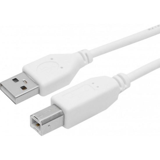 Кабель RZTK USB 2.0 AM-BM 1.8 м White Кабель RZTK USB 2.0 AM-BM 1.8 м White