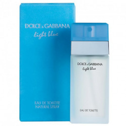 Dolce&Gabbana Light Blue Туалетна вода 100 ml (3423473020233)