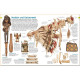 Dorling Kindersley Verlag memo Wissen entdecken: Indianer. Dorling Kindersley Verlag. ISBN:9783831036806 Dorling Kindersley Verlag memo Wissen entdecken: Indianer. Dorling Kindersley Verlag. ISBN:9783831036806