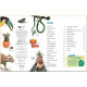 Dorling Kindersley Verlag memo Wissen entdecken: Regenwald. Dorling Kindersley Verlag. ISBN:9783831041381 Dorling Kindersley Verlag memo Wissen entdecken: Regenwald. Dorling Kindersley Verlag. ISBN:9783831041381