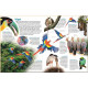 Dorling Kindersley Verlag memo Wissen entdecken: Regenwald. Dorling Kindersley Verlag. ISBN:9783831041381 Dorling Kindersley Verlag memo Wissen entdecken: Regenwald. Dorling Kindersley Verlag. ISBN:9783831041381