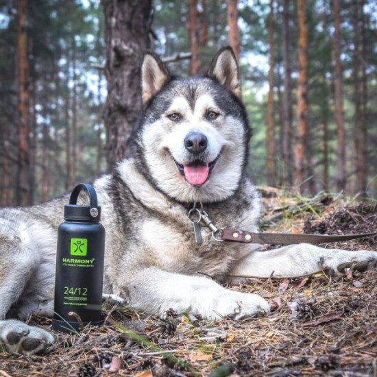 Термос Harmony Black 1 л. с дополнительной крышкой Термос Harmony Black 1 л. с дополнительной крышкой