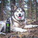 Термос Harmony Black 1 л. с дополнительной крышкой Термос Harmony Black 1 л. с дополнительной крышкой