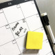 Календар на місяць Магнітний My Perfect Month Кіт LifeFLUX А3 чорно-білий Календар на місяць Магнітний My Perfect Month Кіт LifeFLUX А3 чорно-білий