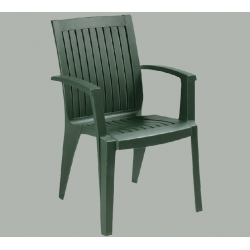Armchair Papatya Alize dark green