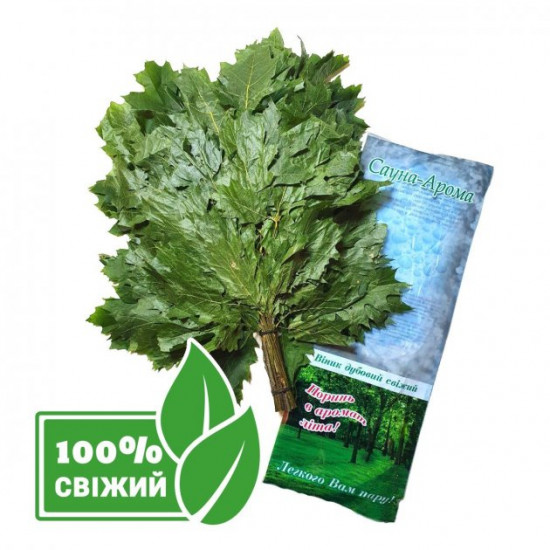 Canadian oak broom for bath – fresh frozen Canadian oak broom for bath – fresh frozen