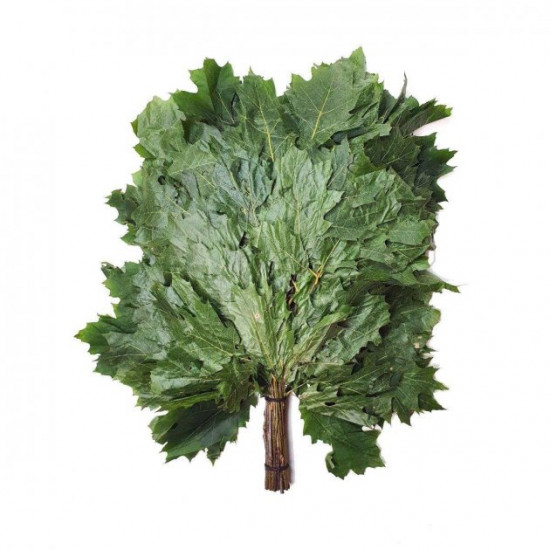 Canadian oak broom for bath – fresh frozen Canadian oak broom for bath – fresh frozen