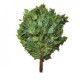 Birch broom for bath – fresh frozen Birch broom for bath – fresh frozen