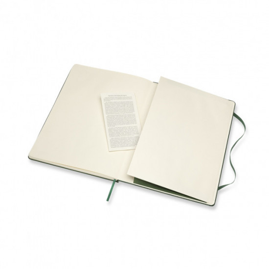  Блокнот Moleskine Classic большой нелинованные миртовый зеленый (QP092K15)