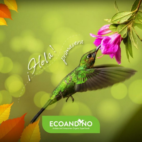 Хлопья органические Ecoandino Hearty Flakes 300 г. Хлопья органические Ecoandino Hearty Flakes 300 г.