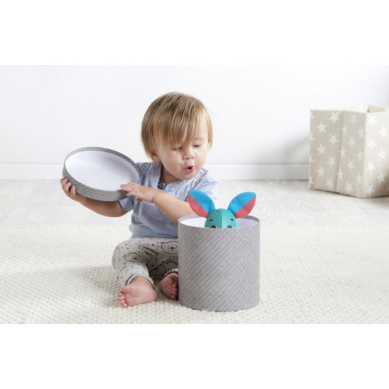 Interactive toy Tiny Love Thomas the Bunny (1306106830) Interactive toy Tiny Love Thomas the Bunny (1306106830)