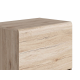 Case display case Gerbor Elpaso REG_1W1D Sanremo oak (011) Case display case Gerbor Elpaso REG_1W1D Sanremo oak (011)