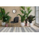 Velvet chair Kayoom Charlize 110 Gray (B56EP) Velvet chair Kayoom Charlize 110 Gray (B56EP)