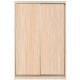 Шкаф-купе Алекса-Д 220х60x160 Дуб молочный фасады ДСП профиль Серебро Шкаф-купе Алекса-Д 220х60x160 Дуб молочный фасады ДСП профиль Серебро