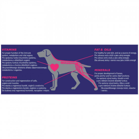 Bono with Beef Adult Dog All Breeds - A dry feed with beef for adult dogs of various breeds Bono with Beef Adult Dog All Breeds - A dry feed with beef for adult dogs of various breeds
