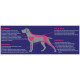 Bono with Beef Adult Dog All Breeds - A dry feed with beef for adult dogs of various breeds Bono with Beef Adult Dog All Breeds - A dry feed with beef for adult dogs of various breeds