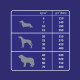 Bono with Beef Adult Dog All Breeds - A dry feed with beef for adult dogs of various breeds Bono with Beef Adult Dog All Breeds - A dry feed with beef for adult dogs of various breeds