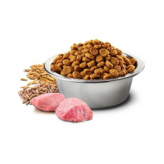 Farmina (Pharmina) N&D Low Grain Dog Chicken & Pomegranate Senior Mini - The low-grain dry feed a skuritsa and pomegranate for dogs of small breeds is more senior than 7 years Farmina (Pharmina) N&D Low Grain Dog Chicken & Pomegranate Senior Mini - The low-grain dry feed a skuritsa and pomegranate for dogs of small breeds is more senior than 7 years